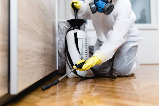 Best Pest Inspection Near Me  in St Joseph, MI