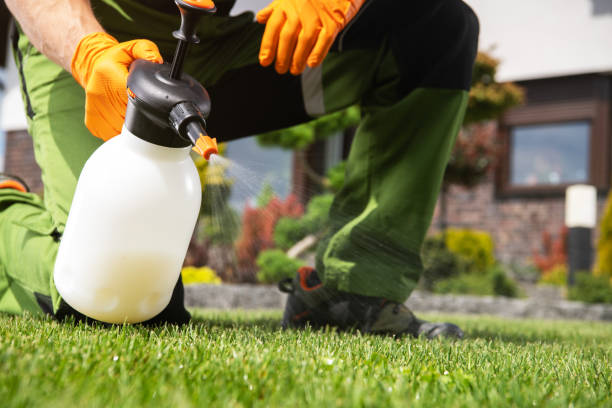 Best Affordable Pest Control Services  in St Joseph, MI