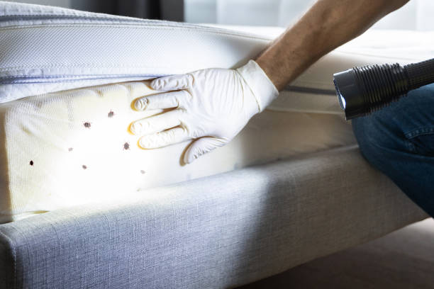 Best Best Pest Control Companies  in St Joseph, MI