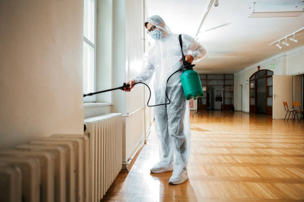 Wasp Removal Services in St Joseph, MI